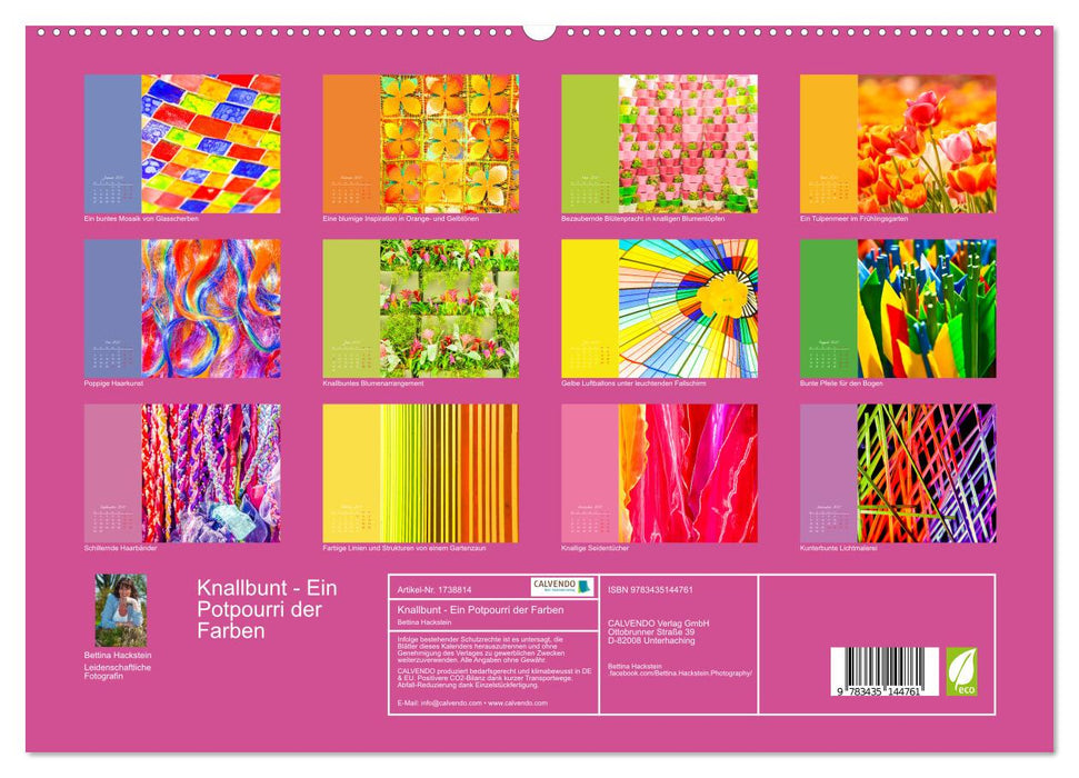 Knallbunt - Ein Potpourri der Farben (CALVENDO Premium Wandkalender 2025)