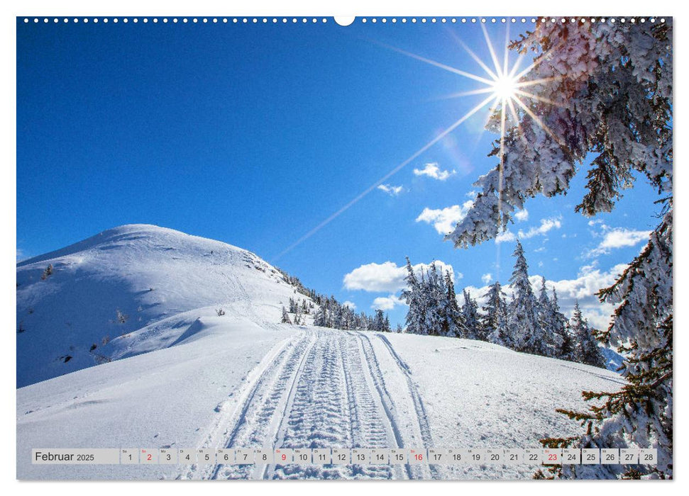 Es grüßt die Reiteralm (CALVENDO Wandkalender 2025)