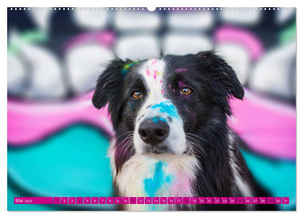 Graffiti Dogs (CALVENDO Premium Wandkalender 2025)