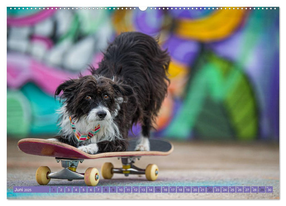 Graffiti Dogs (CALVENDO Premium Wandkalender 2025)