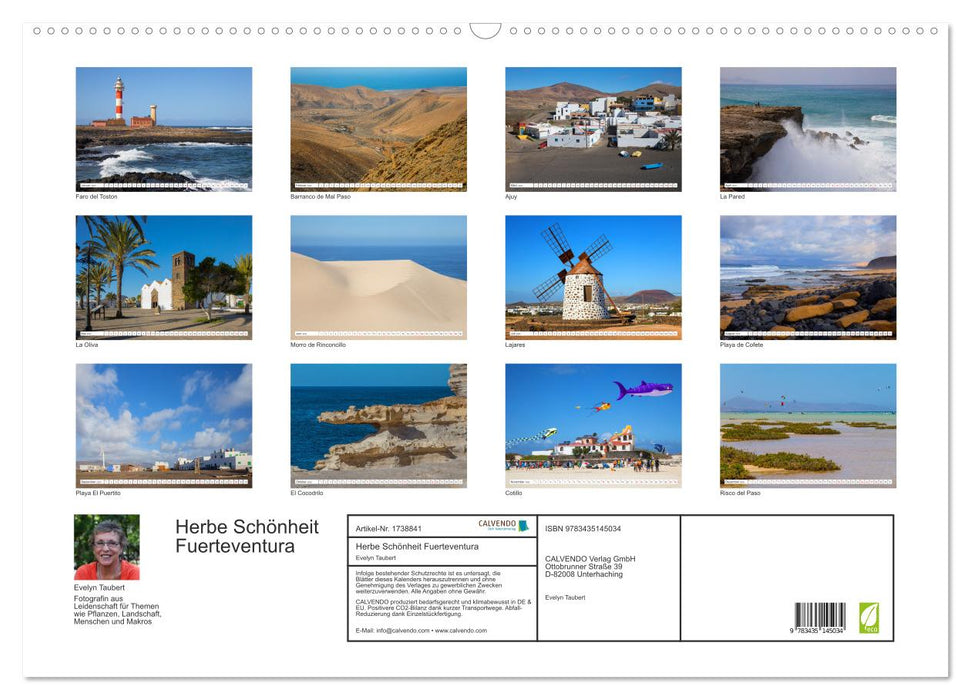 Herbe Schönheit Fuerteventura (CALVENDO Wandkalender 2025)