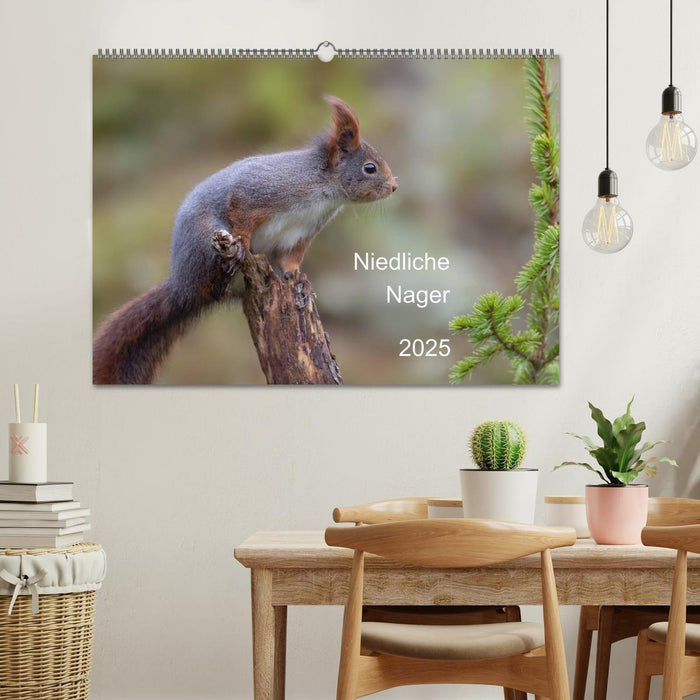 Niedliche Nager (CALVENDO Wandkalender 2025)