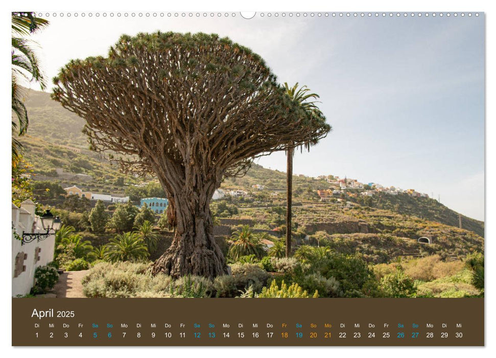 Wundervolles Teneriffa (CALVENDO Premium Wandkalender 2025)