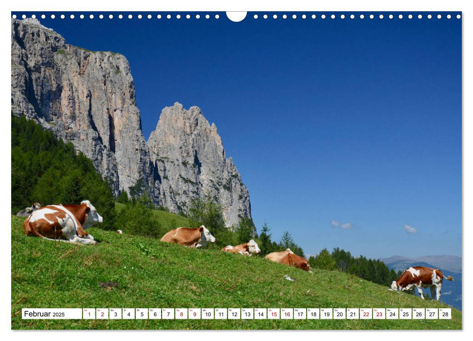 Der Schlern - Magie und Mythos im Herzen der Dolomiten (CALVENDO Wandkalender 2025)