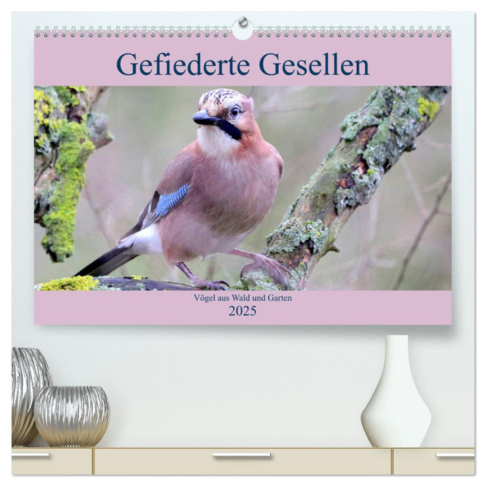 Gefiederte Gesellen - Vögel aus Wald und Garten (CALVENDO Premium Wandkalender 2025)