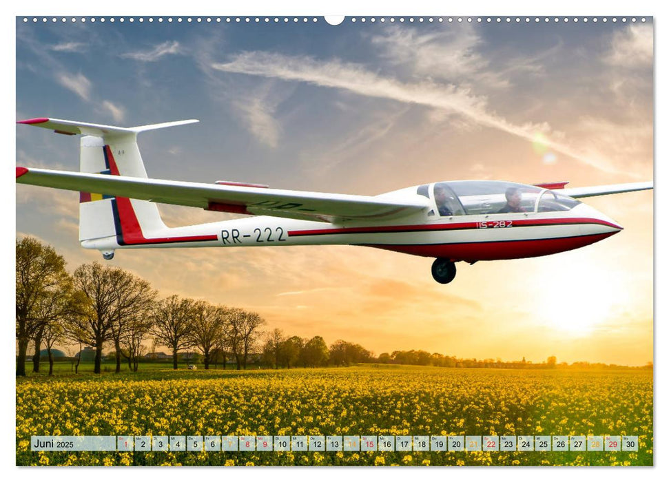 Segelflug, ein Stück Freiheit (CALVENDO Premium Wandkalender 2025)