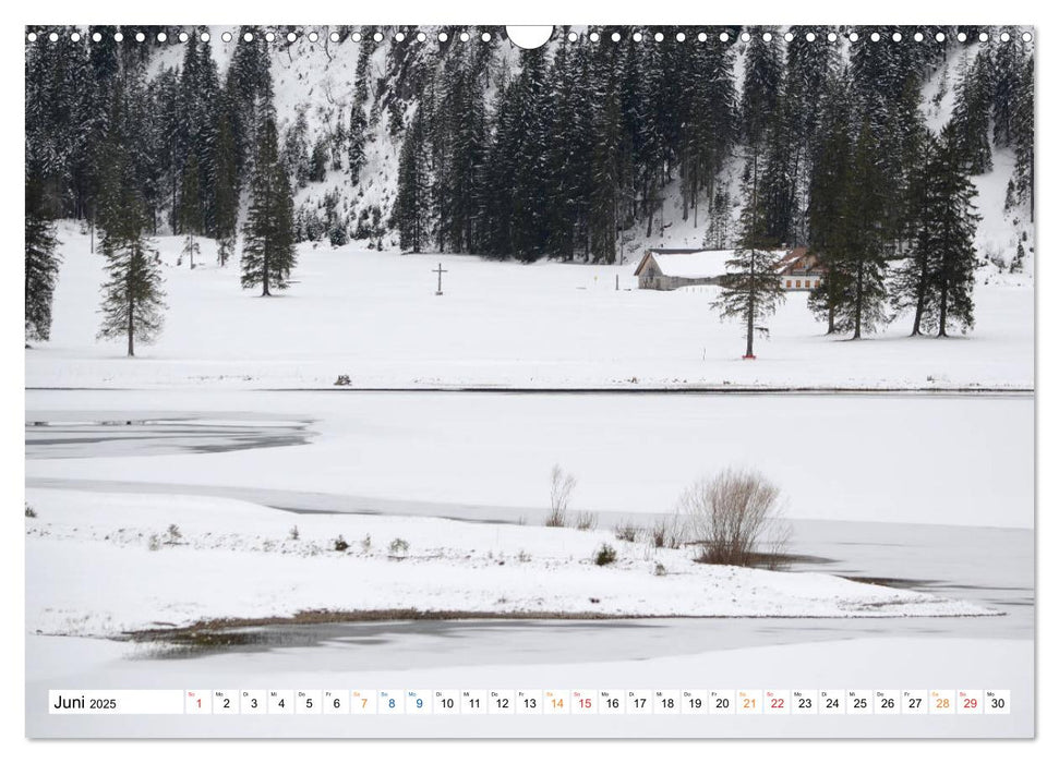 Tannheim im Tal, da wo viele Urlaub machen. (CALVENDO Wandkalender 2025)