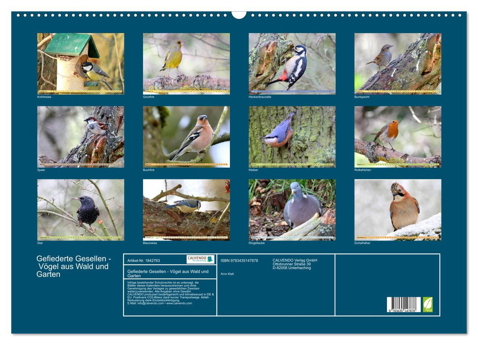 Gefiederte Gesellen - Vögel aus Wald und Garten (CALVENDO Wandkalender 2025)