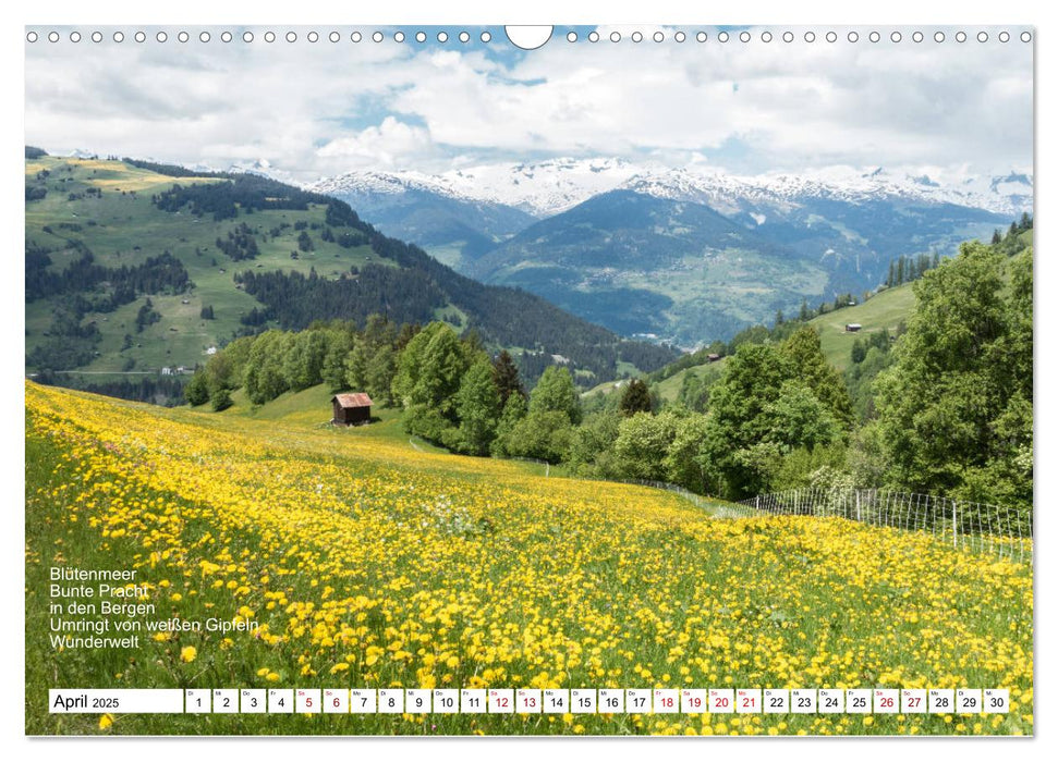 Mit Elfchen durch das Jahr (CALVENDO Wandkalender 2025)