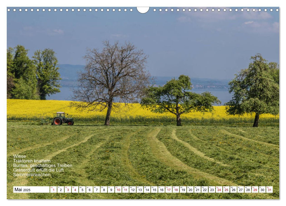 Mit Elfchen durch das Jahr (CALVENDO Wandkalender 2025)