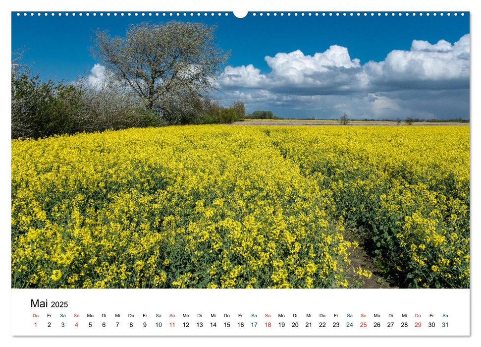 Unterwegs in Nordfriesland (CALVENDO Premium Wandkalender 2025)