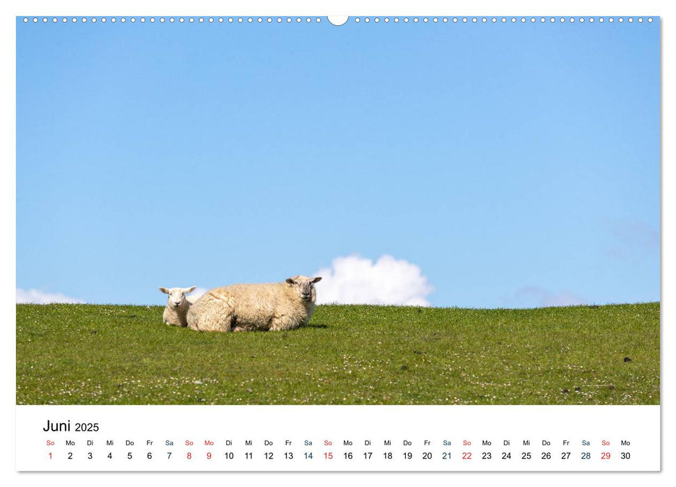 Unterwegs in Nordfriesland (CALVENDO Premium Wandkalender 2025)