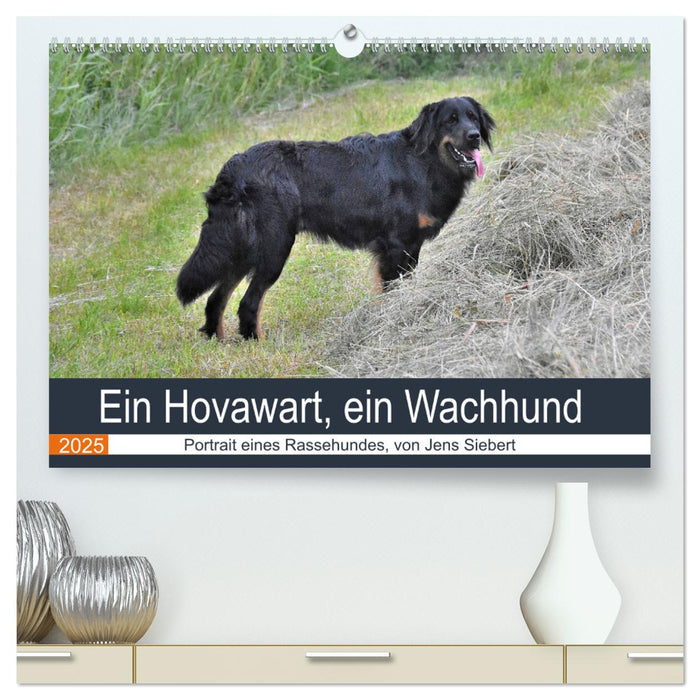 Ein Hovawart, ein Wachhund (CALVENDO Premium Wandkalender 2025)