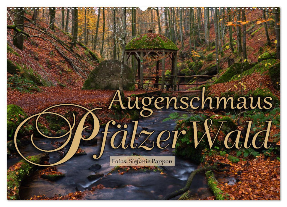 Augenschmaus Pfälzer Wald (CALVENDO Wandkalender 2025)