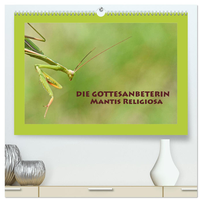 Die Gottesanbeterin Mantis Religiosa (CALVENDO Premium Wandkalender 2025)