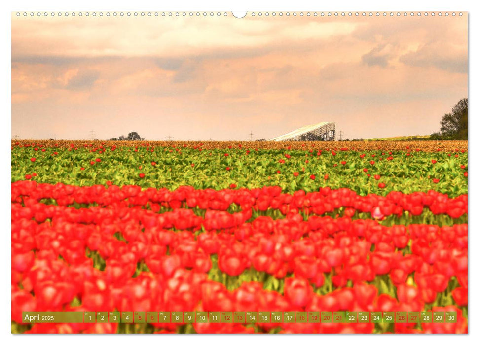 Neuss - Ein malerischer Spaziergang (CALVENDO Premium Wandkalender 2025)