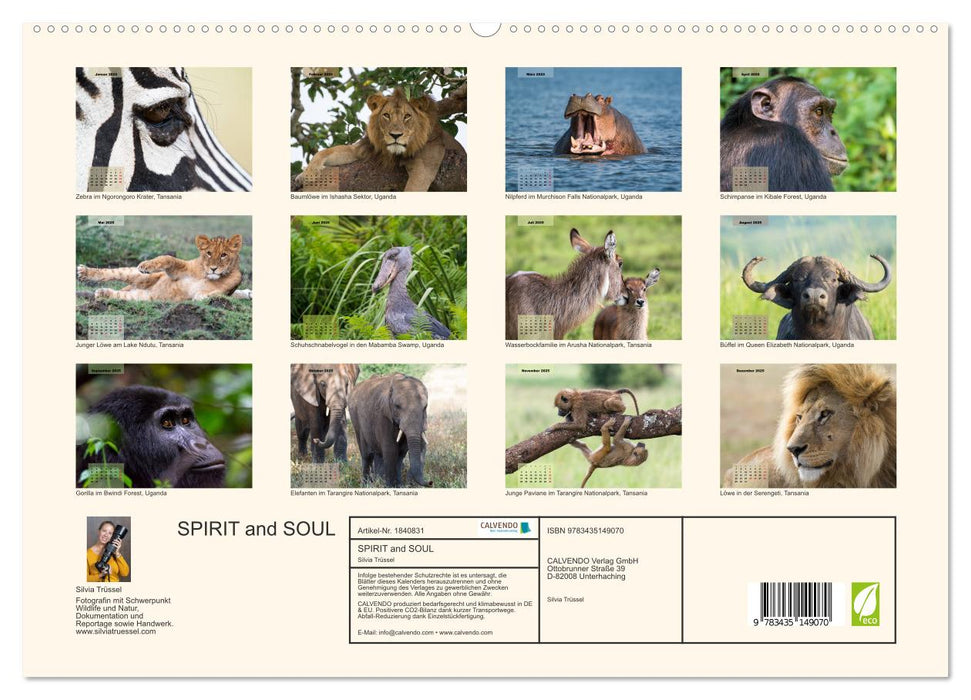 SPIRIT and SOUL (CALVENDO Premium Wandkalender 2025)