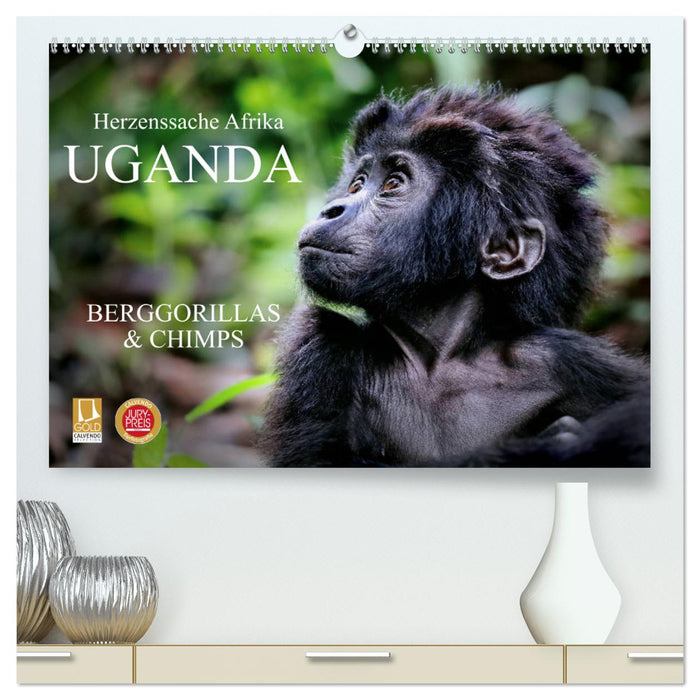 UGANDA - Berggorillas & Chimps (CALVENDO Premium Wandkalender 2025)