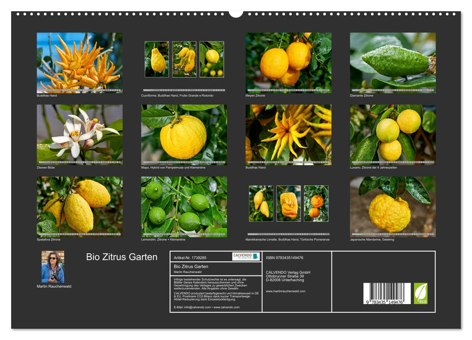 Bio Zitrus Garten (CALVENDO Premium Wandkalender 2025)