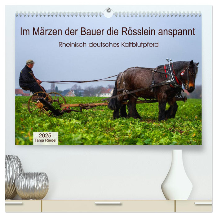 Im Märzen der Bauer die Rösslein anspannt (CALVENDO Premium Wandkalender 2025)