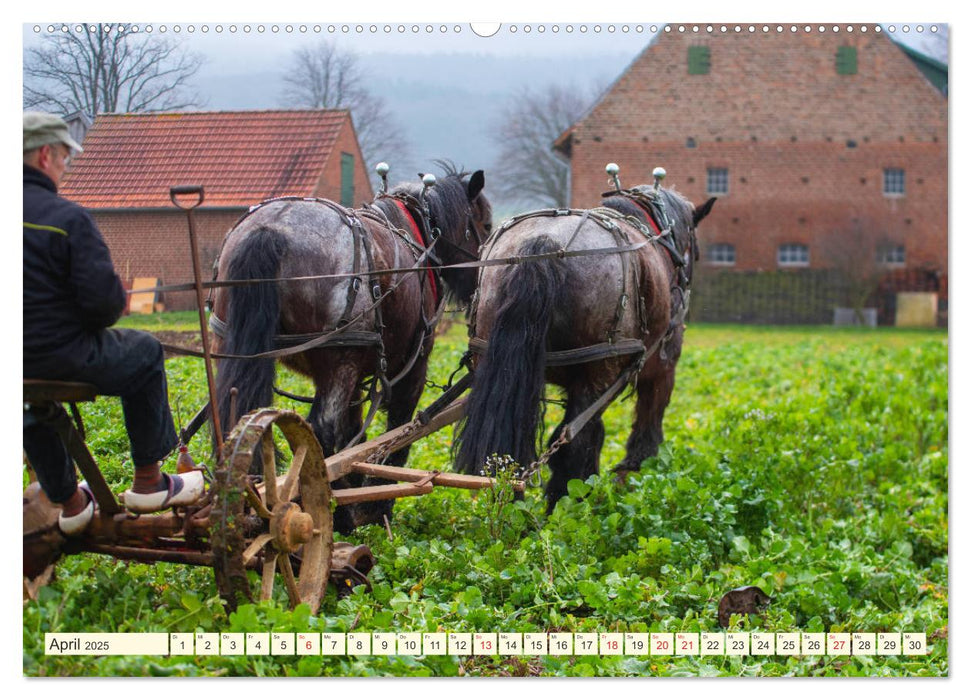 Im Märzen der Bauer die Rösslein anspannt (CALVENDO Premium Wandkalender 2025)