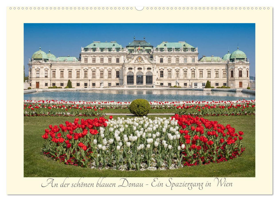 An der schönen blauen Donau - Ein Spaziergang in Wien (CALVENDO Wandkalender 2025)