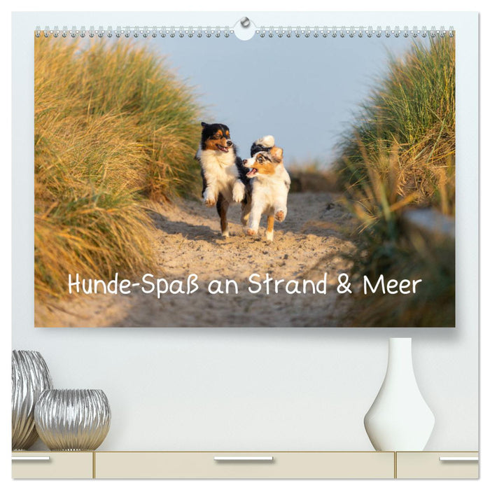 Hunde-Spaß an Strand & Meer (CALVENDO Premium Wandkalender 2025)