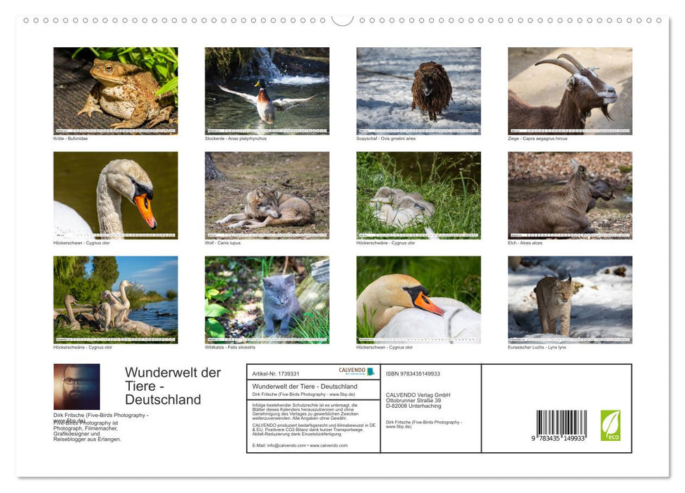 Wunderwelt der Tiere - Deutschland (CALVENDO Premium Wandkalender 2025)