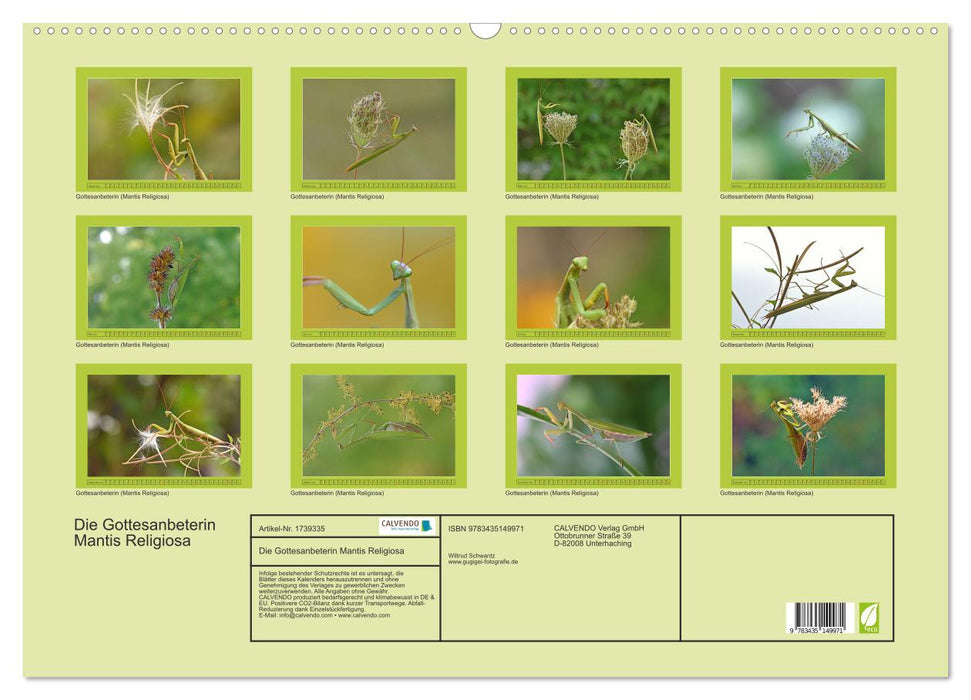 Die Gottesanbeterin Mantis Religiosa (CALVENDO Wandkalender 2025)