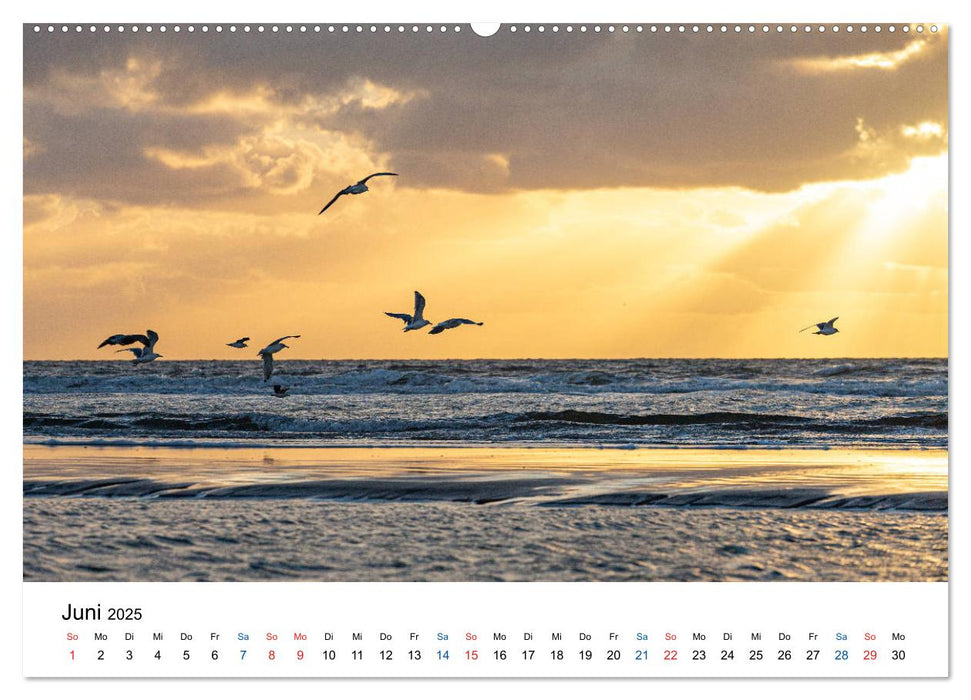 Lichtstimmungen in Sankt Peter-Ording (CALVENDO Wandkalender 2025)