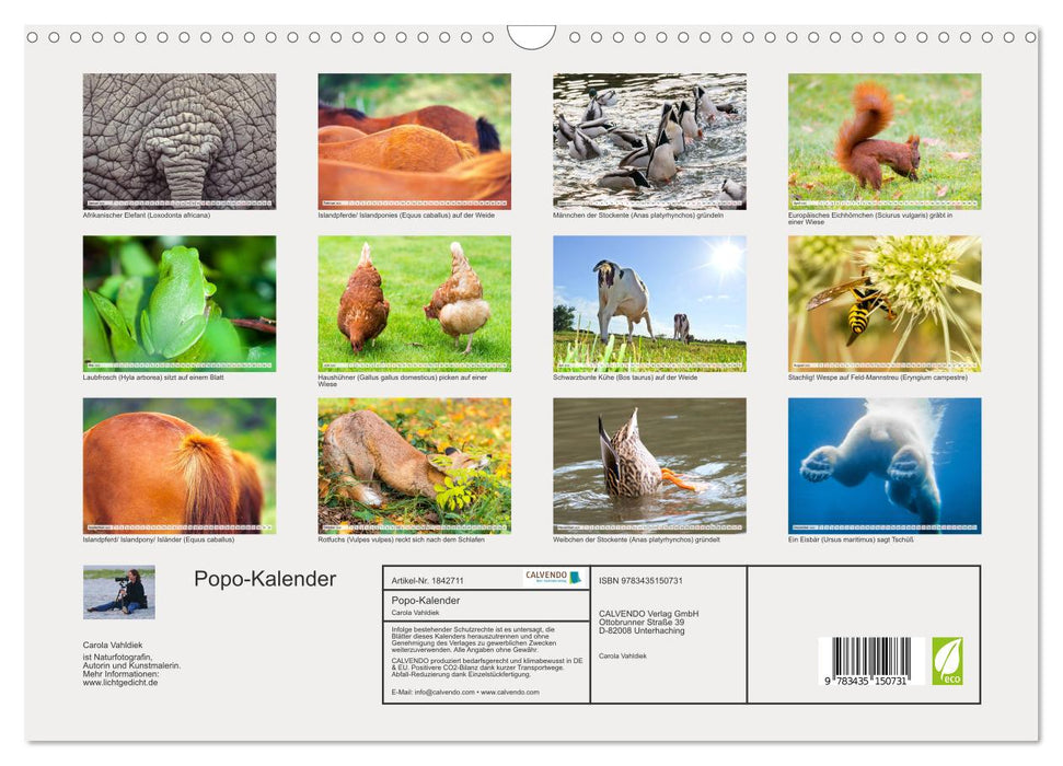 Popo-Kalender (CALVENDO Wandkalender 2025)