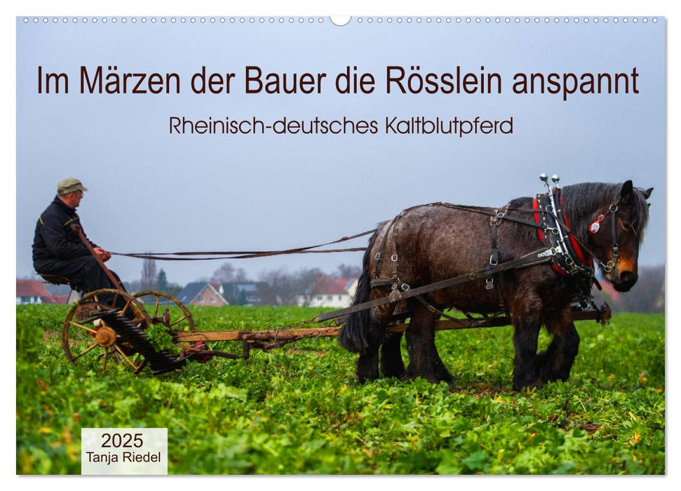 Im Märzen der Bauer die Rösslein anspannt (CALVENDO Wandkalender 2025)