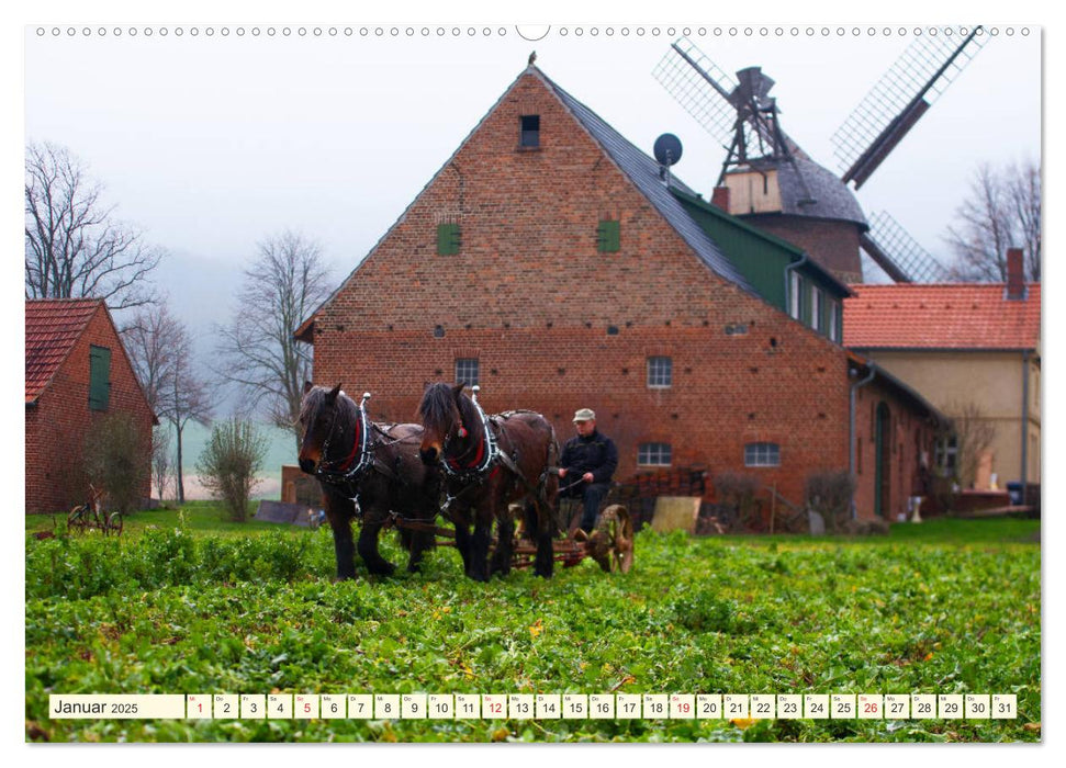 Im Märzen der Bauer die Rösslein anspannt (CALVENDO Wandkalender 2025)