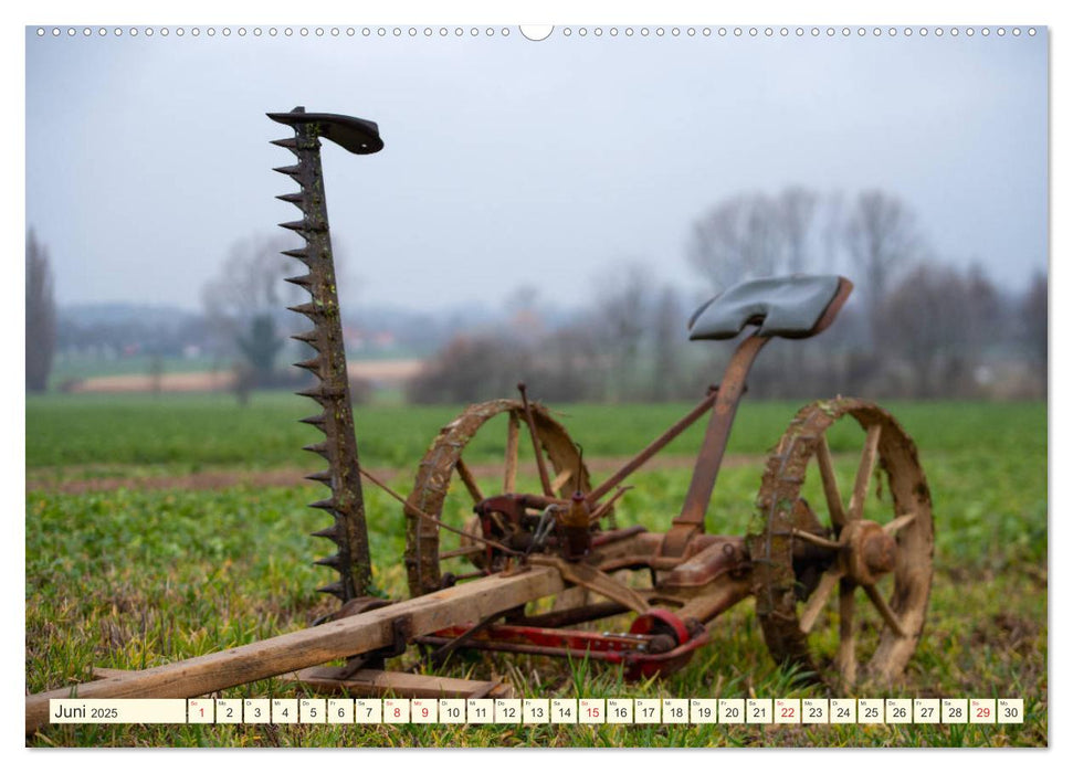 Im Märzen der Bauer die Rösslein anspannt (CALVENDO Wandkalender 2025)