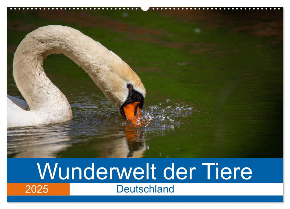 Wunderwelt der Tiere - Deutschland (CALVENDO Wandkalender 2025)