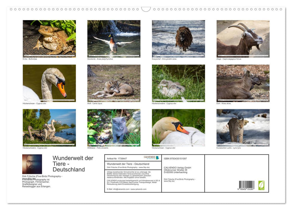 Wunderwelt der Tiere - Deutschland (CALVENDO Wandkalender 2025)