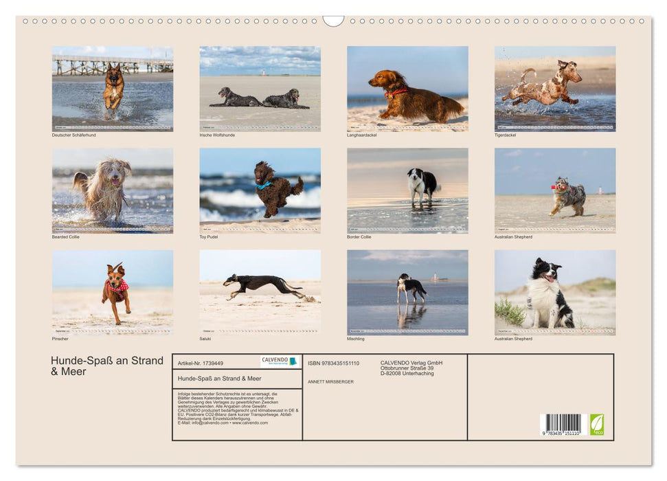 Hunde-Spaß an Strand & Meer (CALVENDO Wandkalender 2025)