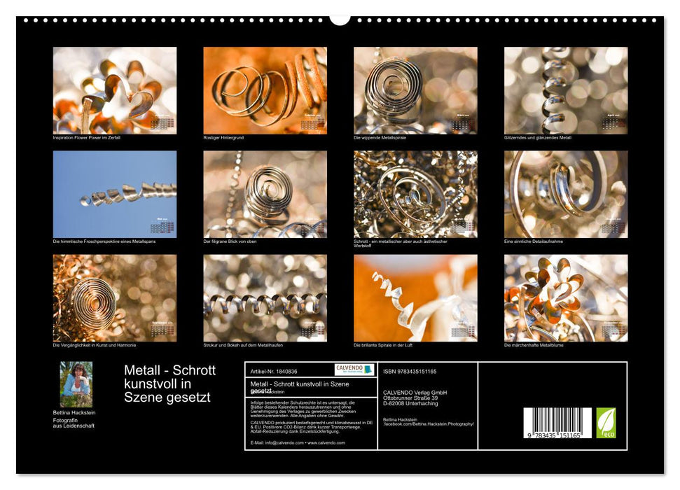 Metall - Schrott kunstvoll in Szene gesetzt (CALVENDO Premium Wandkalender 2025)
