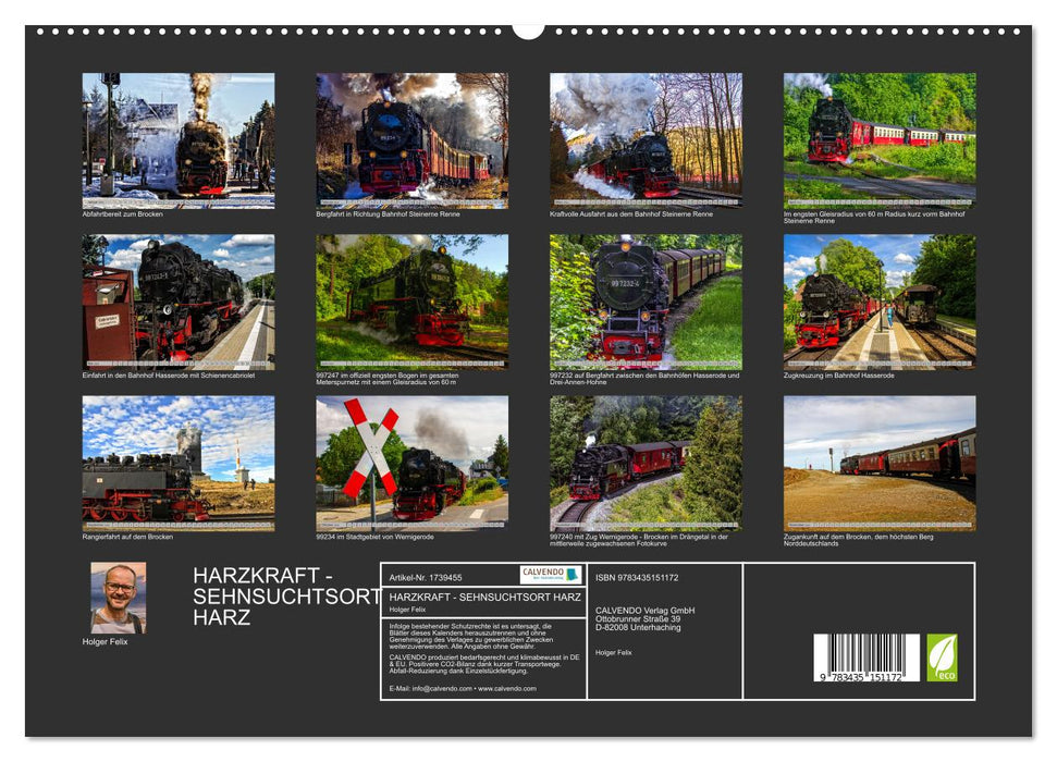 HARZKRAFT - SEHNSUCHTSORT HARZ (CALVENDO Premium Wandkalender 2025)