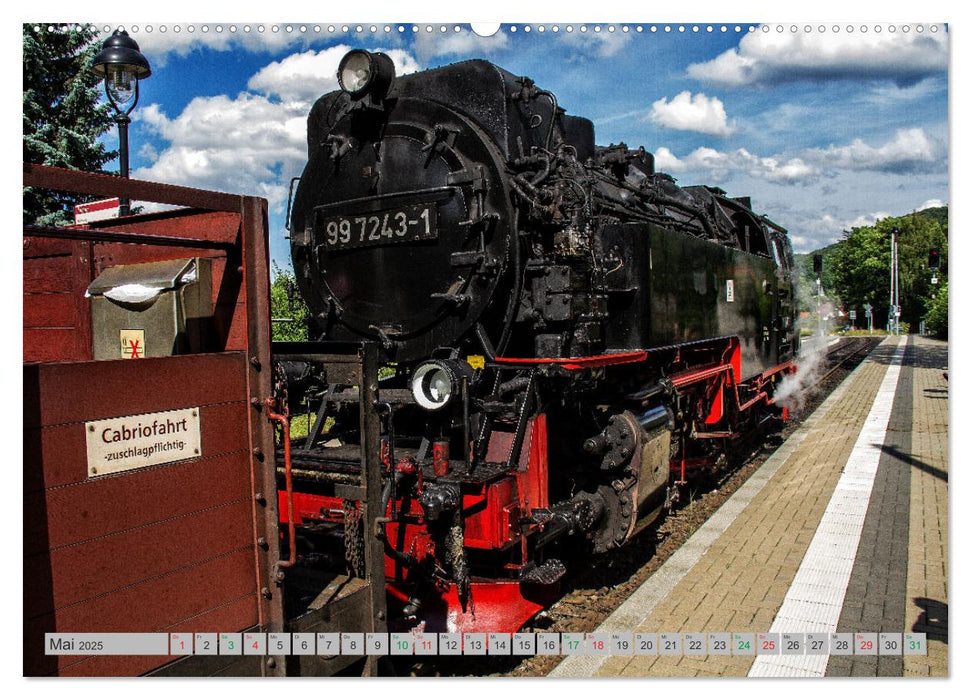 HARZKRAFT - SEHNSUCHTSORT HARZ (CALVENDO Premium Wandkalender 2025)