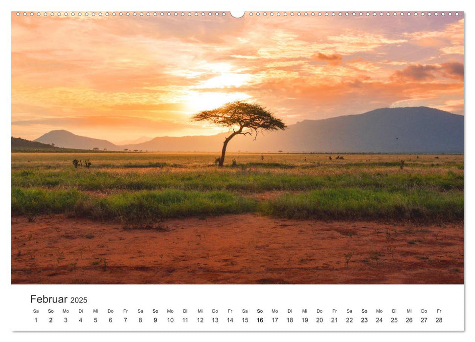 Safari durch Afrika (CALVENDO Wandkalender 2025)