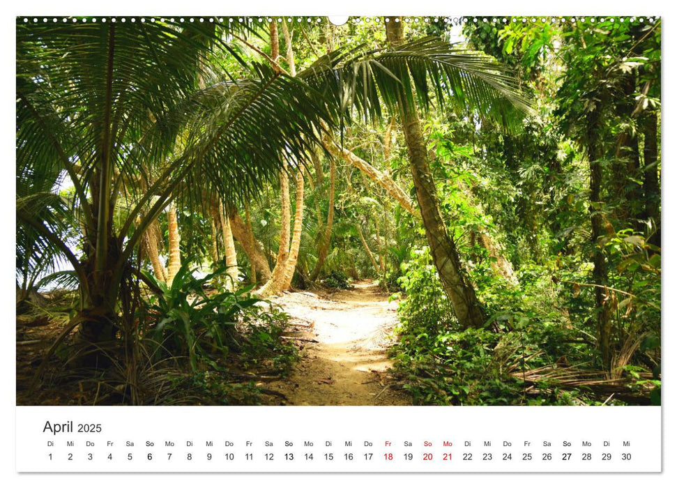 Costa Rica - exotische Tierwelt und unberührte Natur (CALVENDO Premium Wandkalender 2025)