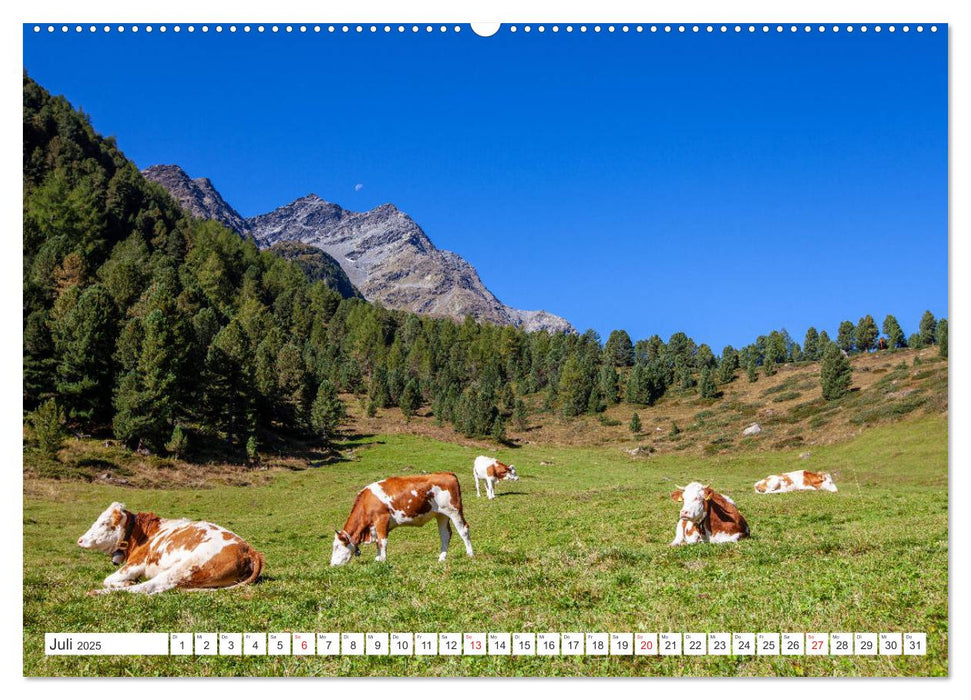 Jagdhausalm in Osttirol (CALVENDO Premium Wandkalender 2025)