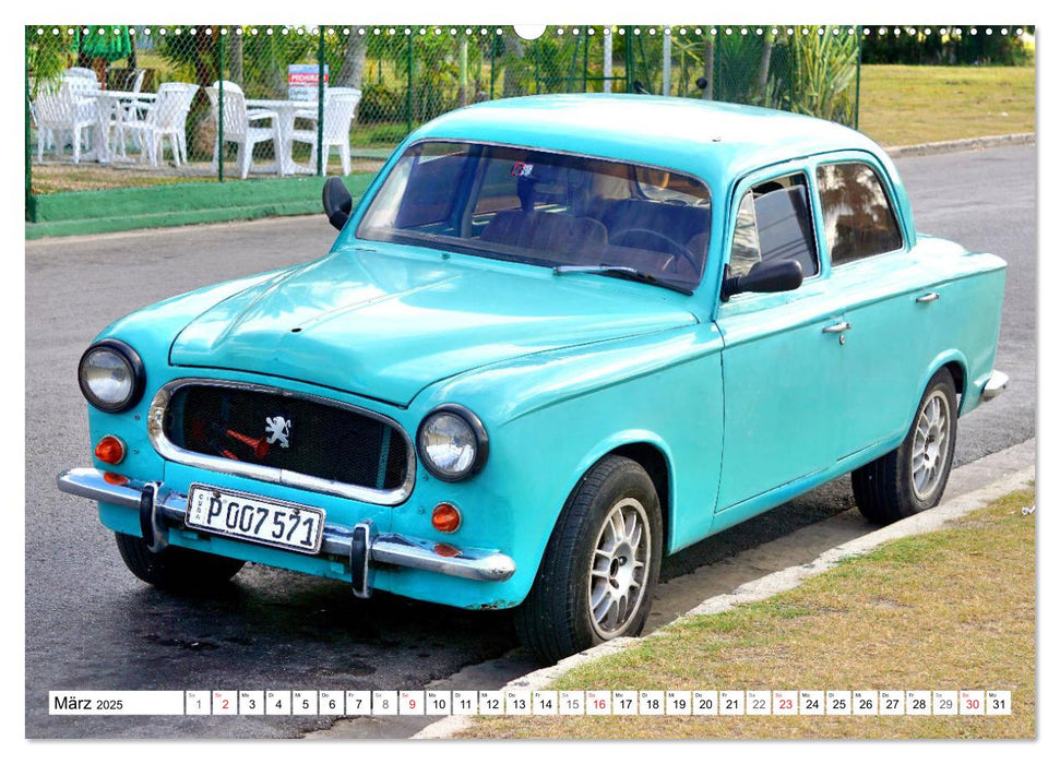 PEUGEOT 403 - Frankreichs Klassiker (CALVENDO Wandkalender 2025)