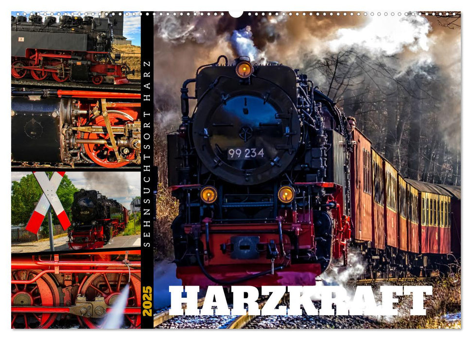 HARZKRAFT - SEHNSUCHTSORT HARZ (CALVENDO Wandkalender 2025)