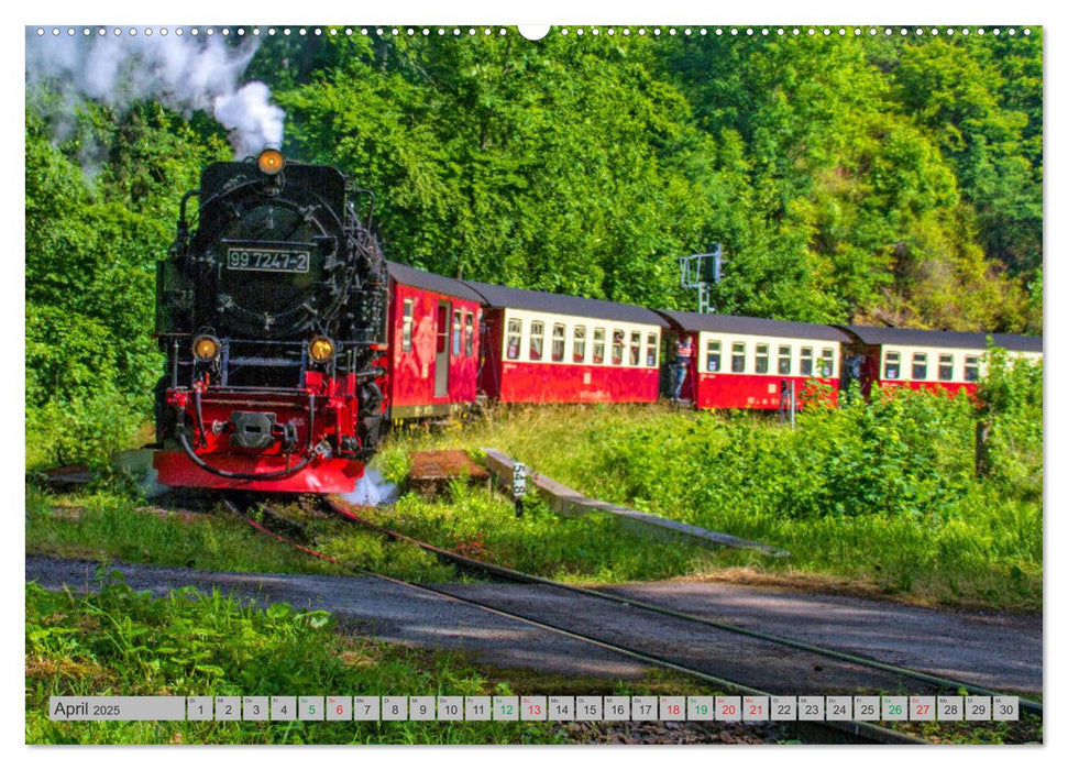 HARZKRAFT - SEHNSUCHTSORT HARZ (CALVENDO Wandkalender 2025)