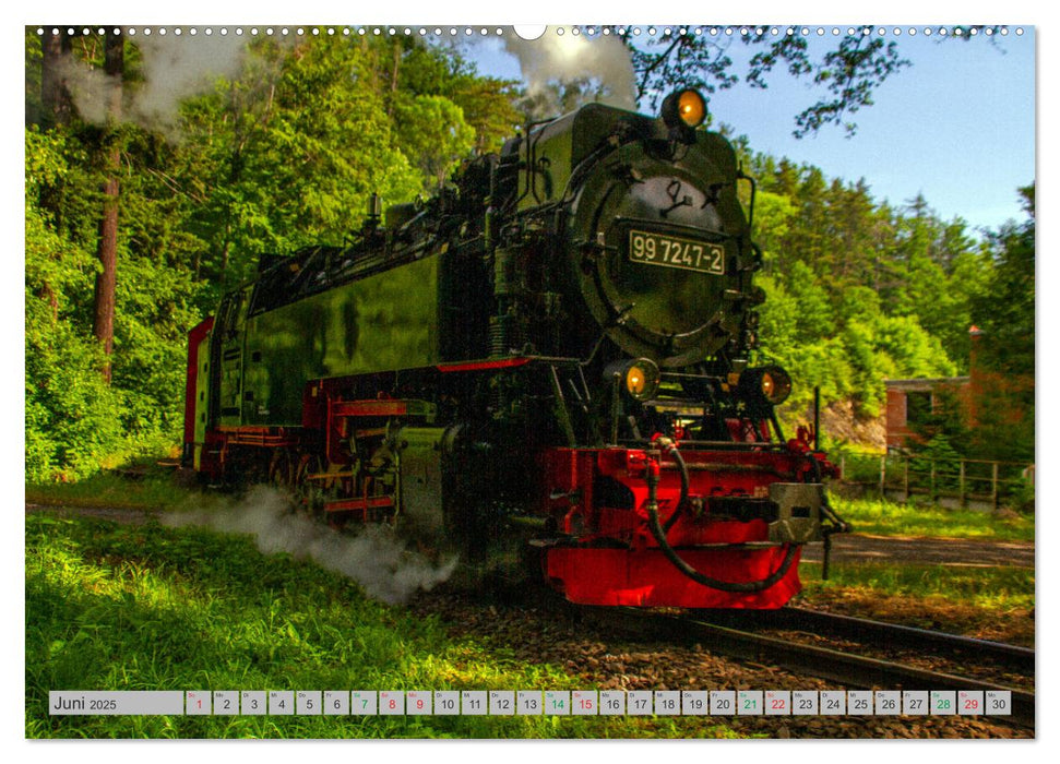 HARZKRAFT - SEHNSUCHTSORT HARZ (CALVENDO Wandkalender 2025)