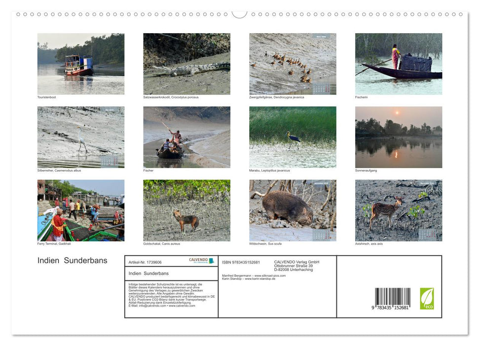 Indien Sunderbans (CALVENDO Premium Wandkalender 2025)