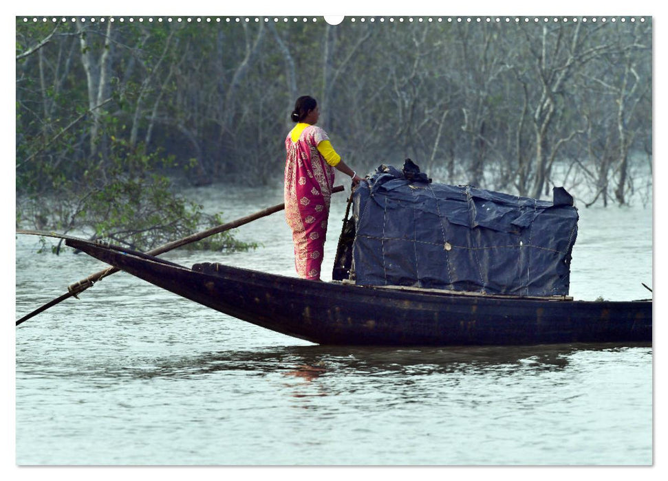 Indien Sunderbans (CALVENDO Premium Wandkalender 2025)