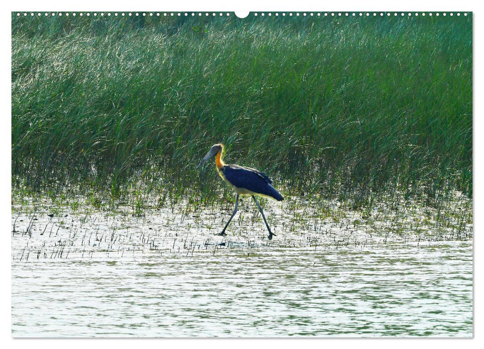 Indien Sunderbans (CALVENDO Premium Wandkalender 2025)